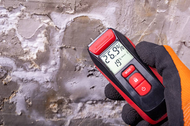 Best Industrial Mold Remediation in Caney, KS